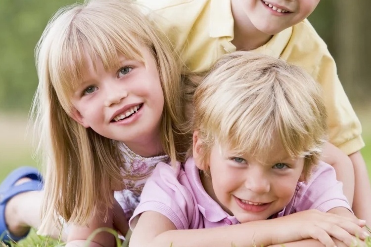 Описание изображения